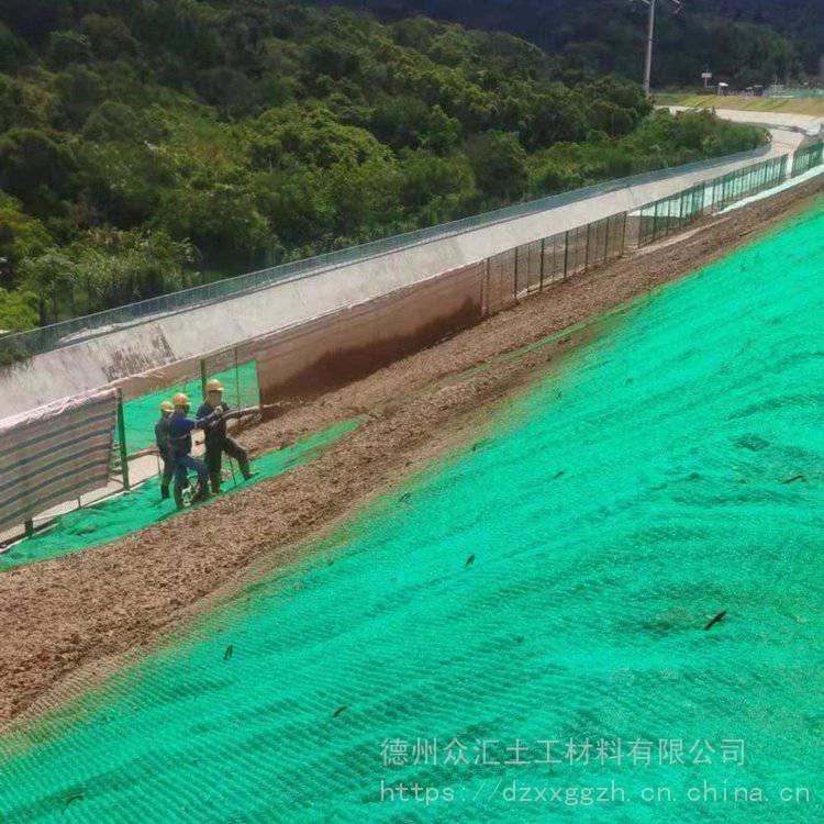 【三维土工网垫植草防护 三维植被边坡网厂家 护坡三维植被网】批发_