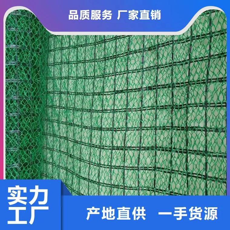 揭阳 土工网三维土工网垫 按需真材实料.三维网186+054