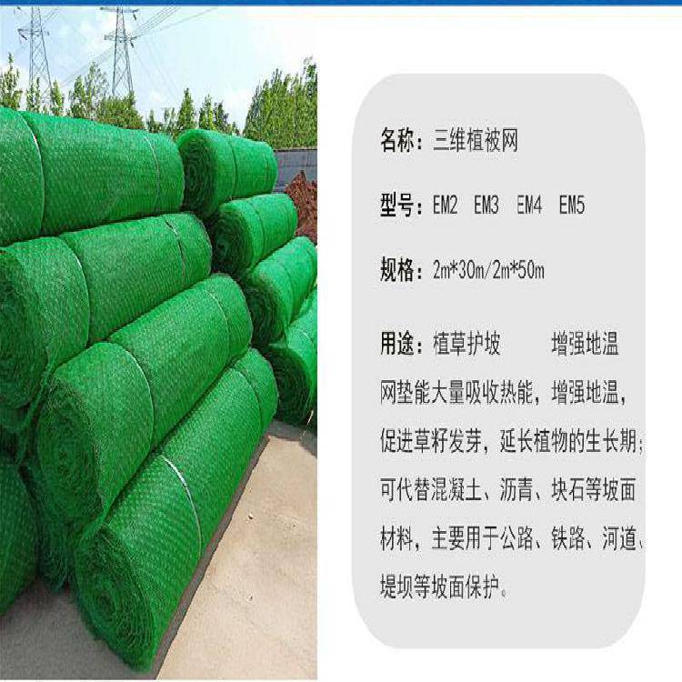 韧性好堤坝防护用三维植被网植草喷泥浆EM4层土工网垫